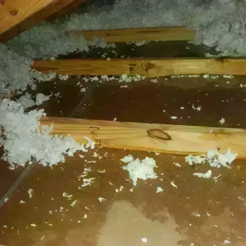 Attic Water Damage in Rafael Hernandez, PR